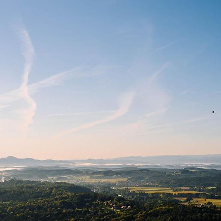 Schilcherlandleben - Hochgrail Greisdorf المظهر الخارجي الصورة